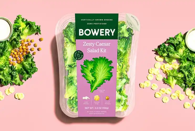 bowery 垂直农业农场品牌蔬菜沙拉农产品包装设计,彩绘蔬菜图案