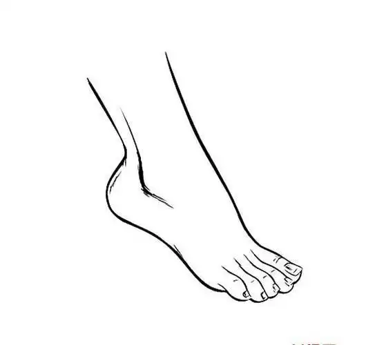 脚丫简笔画脚的简笔画图片一只脚的简笔画脚简笔画怎么画关于脚的简笔
