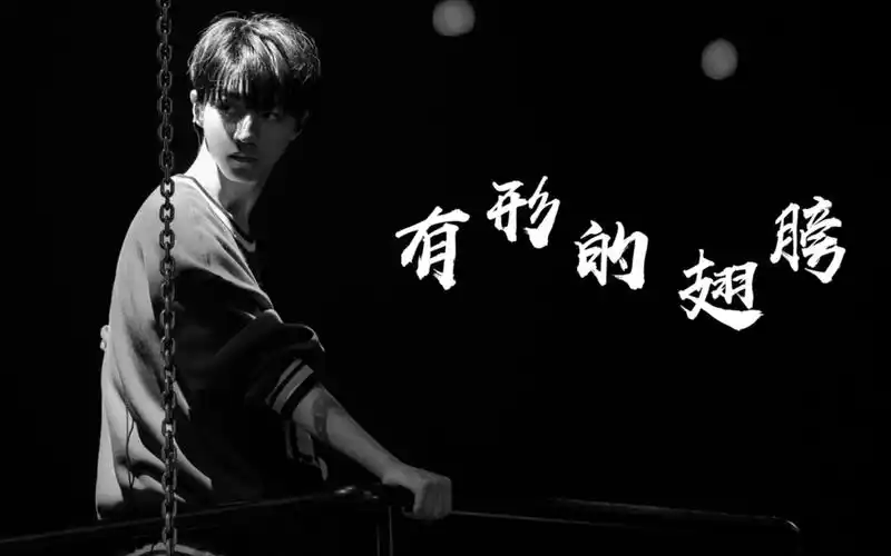 【王俊凯 粉丝向】有形的翅膀