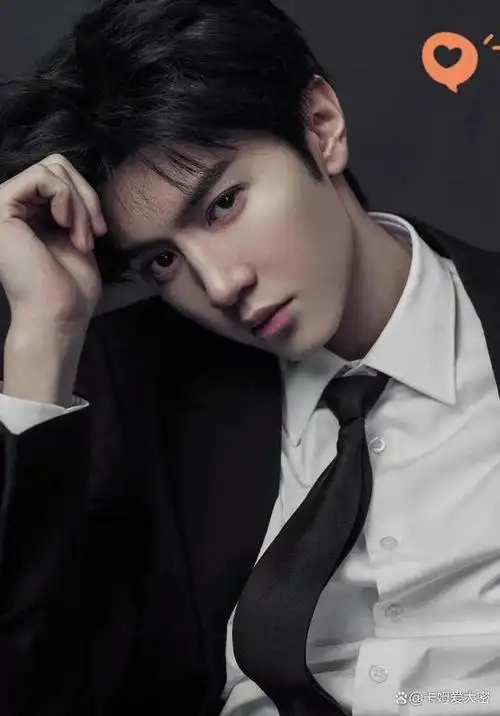 2024最受欢迎的男艺人数据排名王一博第8成毅第6任嘉伦第2