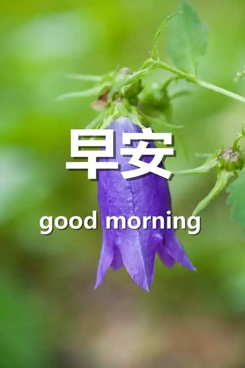 早安祝福语带图片