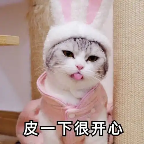 exm?皮这一下很开心吧