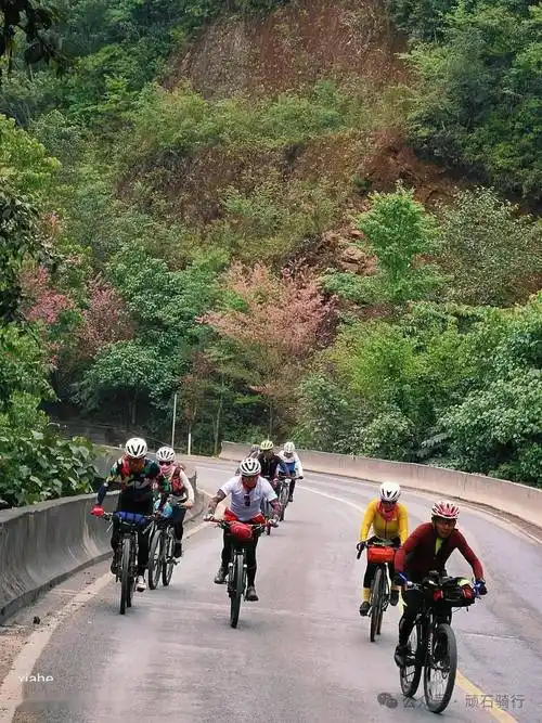 骑行美照欣赏_公园_滇池_顽石