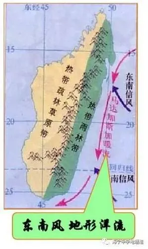 马达加斯加岛东侧热带雨林气候的形成受多个因素的作用:1,从印度洋来