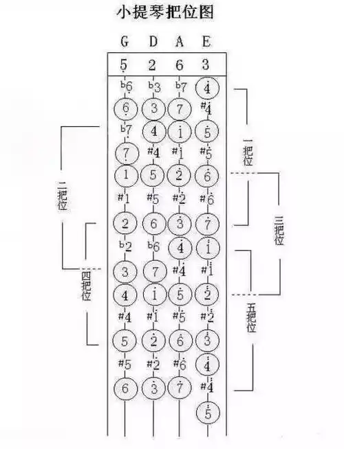 学小提琴为什么一把位那么重要