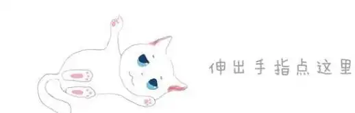 辟谣泰迪和比熊相似却被更多人饲养背后原因在于赶上了好时机