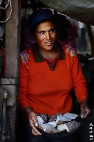 15%的中国,美丽地带的贫困