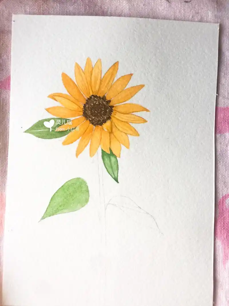 零基础水彩·超详细教程分享7915画朵向日葵9797