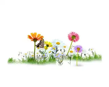 彩色小花蝴蝶花花草草装饰背景素材