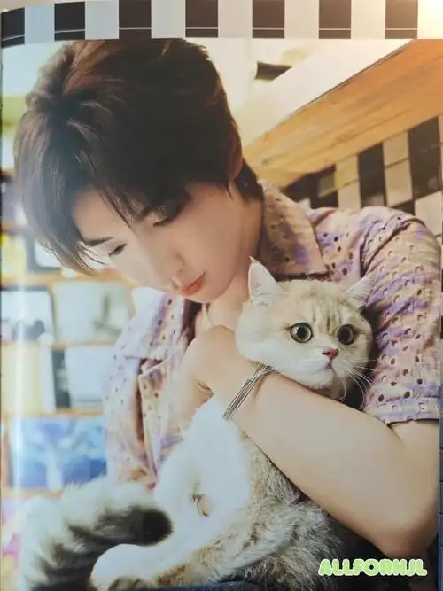 贺峻霖蓝发拍立得##贺峻霖富贵生日写真