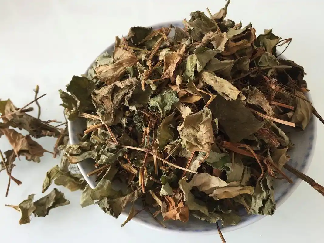 鱼腥草:最喜欢的一种中草药!它那妖娆的味道,总是让我迷醉!