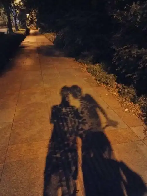 老来诗有名诗选[当代新诗苑](112)