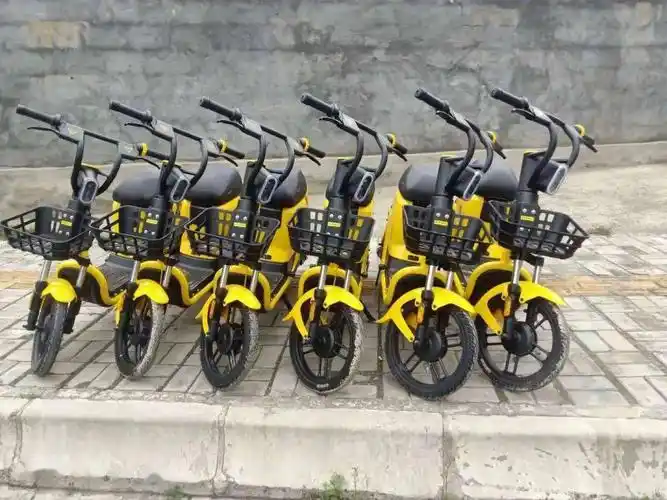 松果电单车落户称多县引领智慧绿色出行新风尚