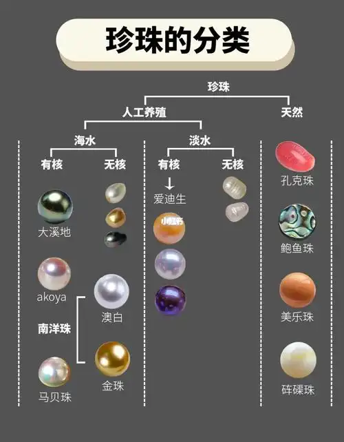 一篇看懂珍珠分类