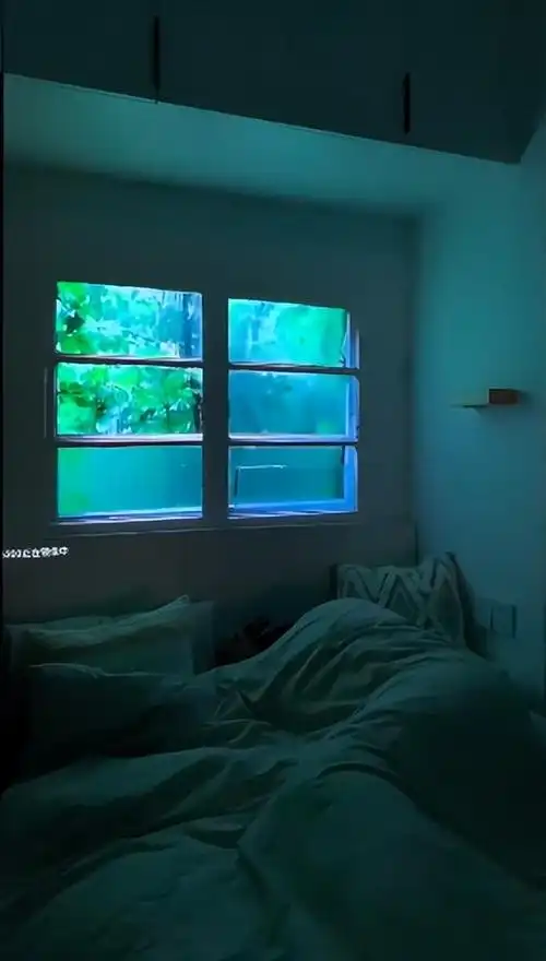 火爆全网的假窗户挑战来了好家伙大眼橙投影还能这么玩