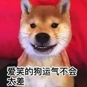 一组柴犬doge微信表情