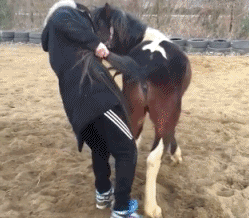 搞笑洋气摔跤牛人gif动图_动态图_表情包下载_soogif