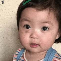 260_260gif 动态图 动图