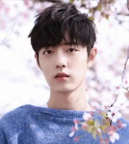 肖战个人资料及作品介绍肖战近况介绍