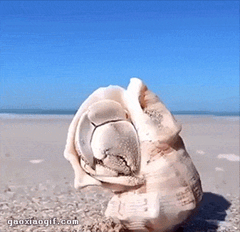 搞笑gif图医生说我现在一天最多吸一包烟