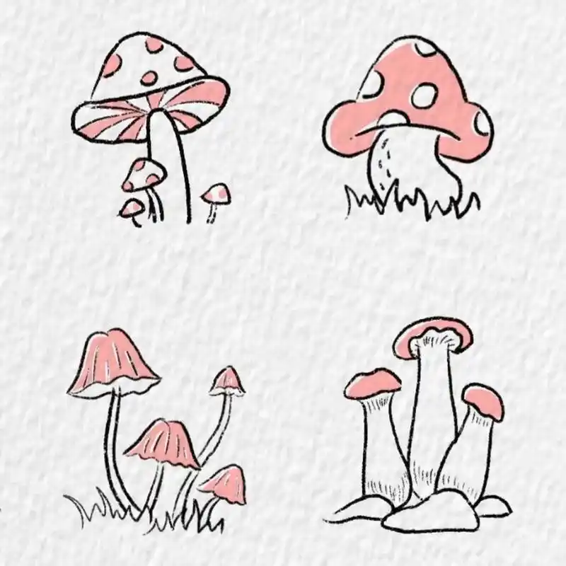 蘑菇简笔画～ 这也许是毒蘑菇 软件:procreate 笔刷:干油墨,工作室笔