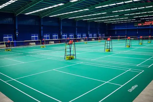 设备先进齐全的超大健身房 国际标准游泳池 三楼1400平羽毛球场 9月