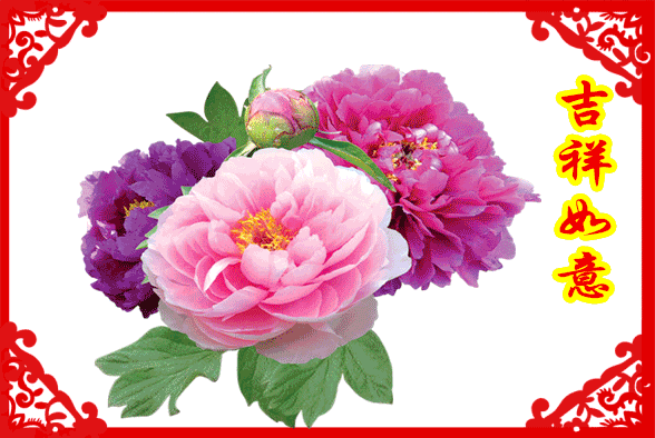 祝福亲爱的你 新的一年财运不断数钱数到哈哈笑 我要送你8朵牡丹 祝你