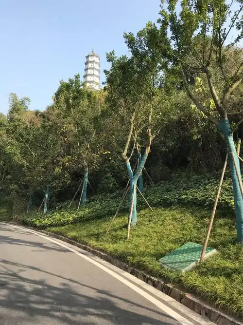 内江三元塔2017.12.31