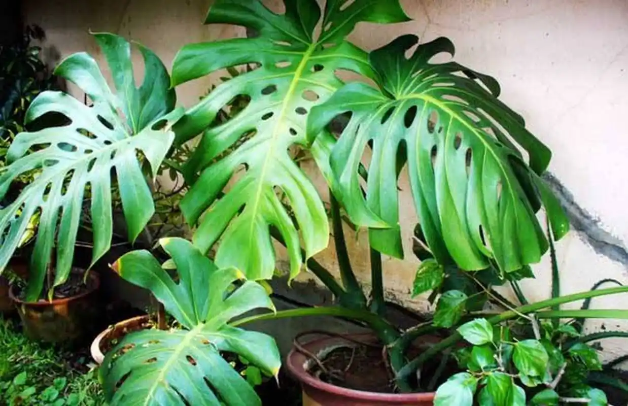 怎样打造家居ins风?