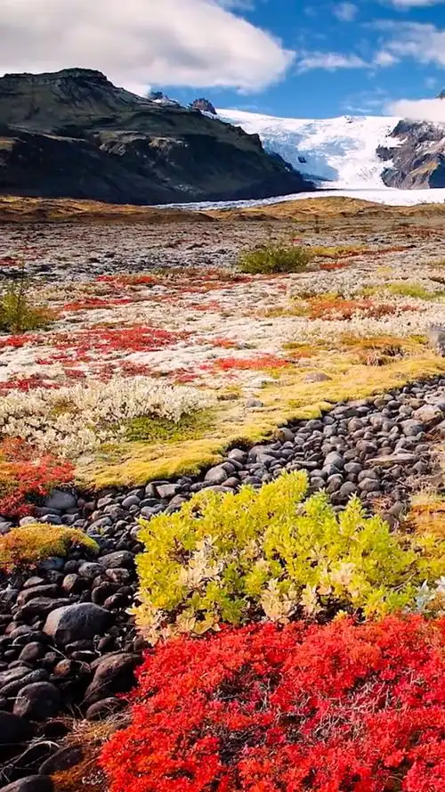 风景如画 美女香车 优质视频 科技创新 搞笑幽默 动漫科技 我负责分享