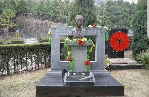 罗京逝世12年妻子已改嫁富商他的墓地却一直出现一个怪象