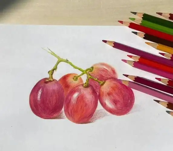 彩铅画水果提子附彩铅色号