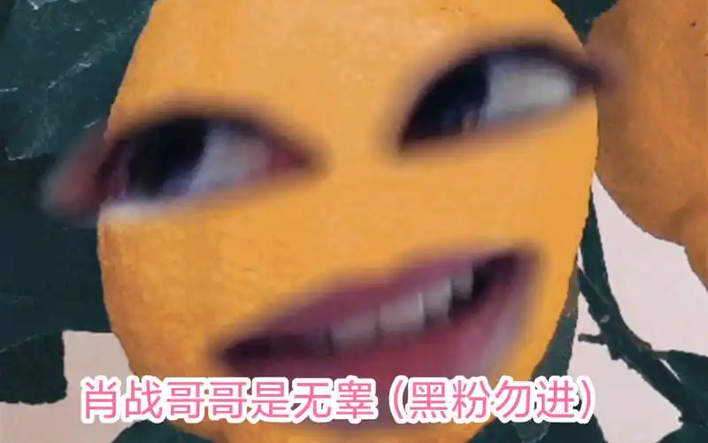 《当我和老师都成为肖战粉之后》