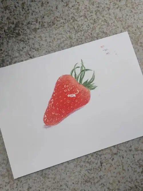 115彩铅画草莓临摹零基础画画