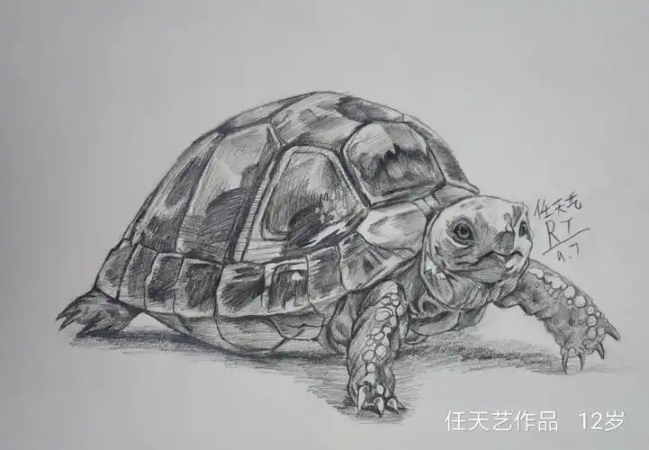 12岁小姑娘的绘画作品大学生直呼好厉害
