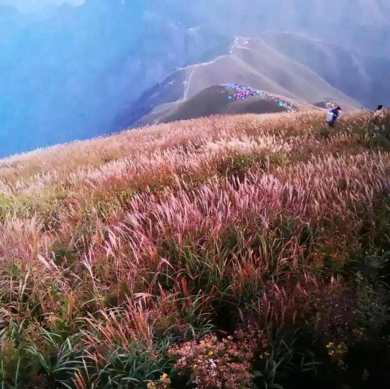 武功山国家级风景区-福星谷栈道自由行热门攻略_武功山国家级风景