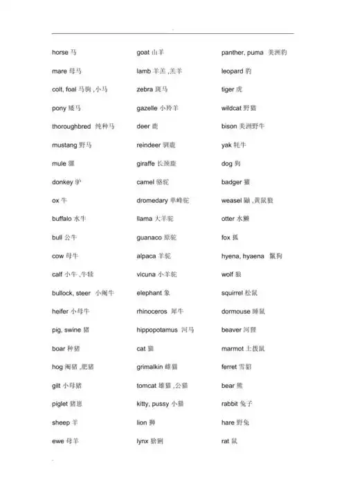 动物英文名称大全