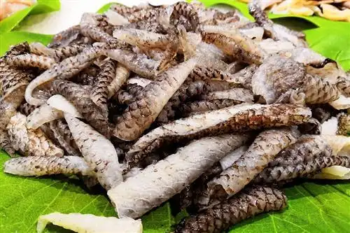 鱼眼明目,鱼头补脑?鱼哪个部位不能吃?关于吃鱼这些事你得知道