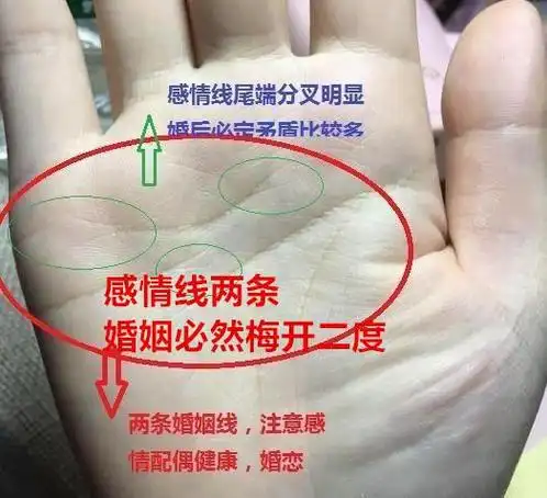 离卦离婚的人_离婚卦怎么看_离卦人的婚姻