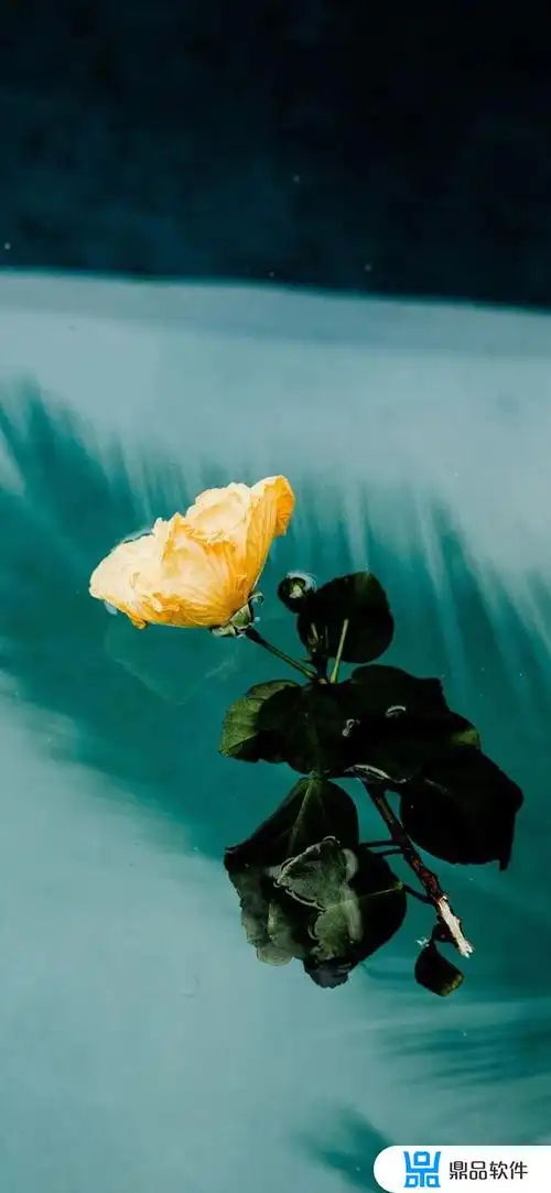 抖音网红壁纸最流行(抖音网红壁纸最流行图片)