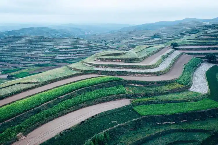 定西美味不止于土豆,现代农业 生态文明,孕育黄土高原一方乐土