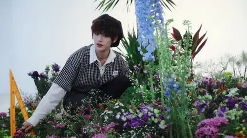 丁程鑫.自截自调,二转注明id.