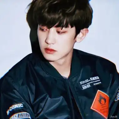 朴灿烈头像(拿图dd )