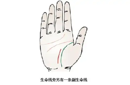 生命线分叉代表什么 ,生命线分叉图解_生辰八字算命网