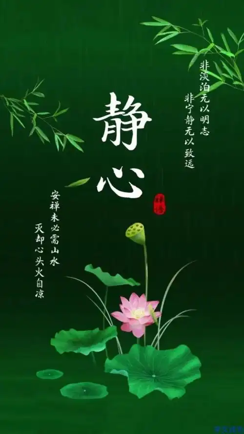 640_1137竖版 竖屏