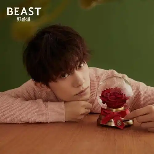 易烊千玺小王子