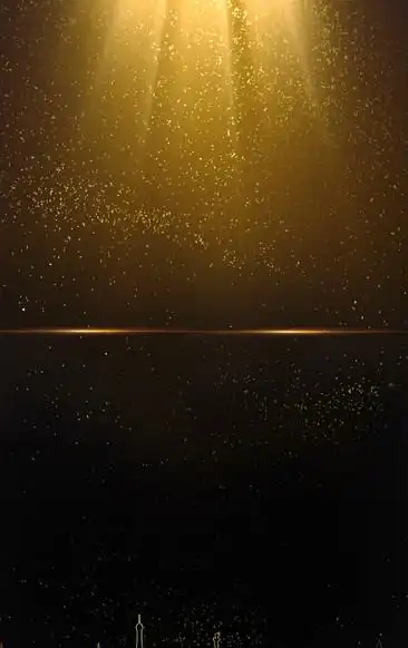 黑底金色光线h5背景