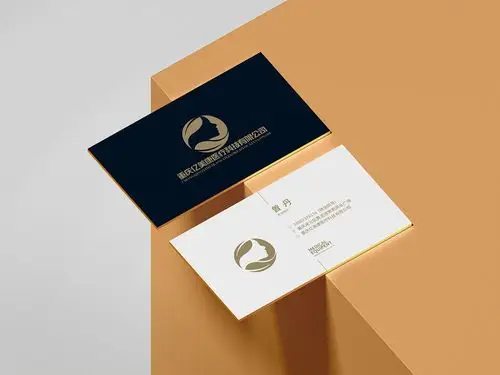 高级品牌总监名片设计