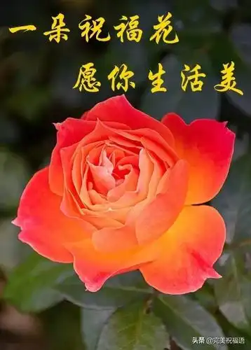 2月22日最新版早安问候祝福语录最美早安祝福问候表情图片