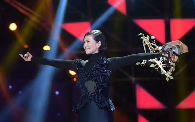 【谭维维】维维姐在某次不露脸的唱歌比赛中的live合集